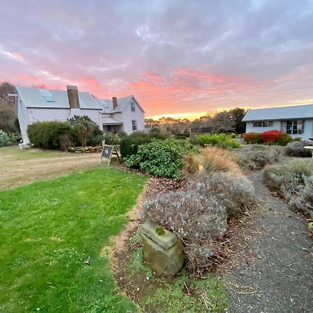 Robin Hoods Well Farm Stay Sassafras Kültér fotó