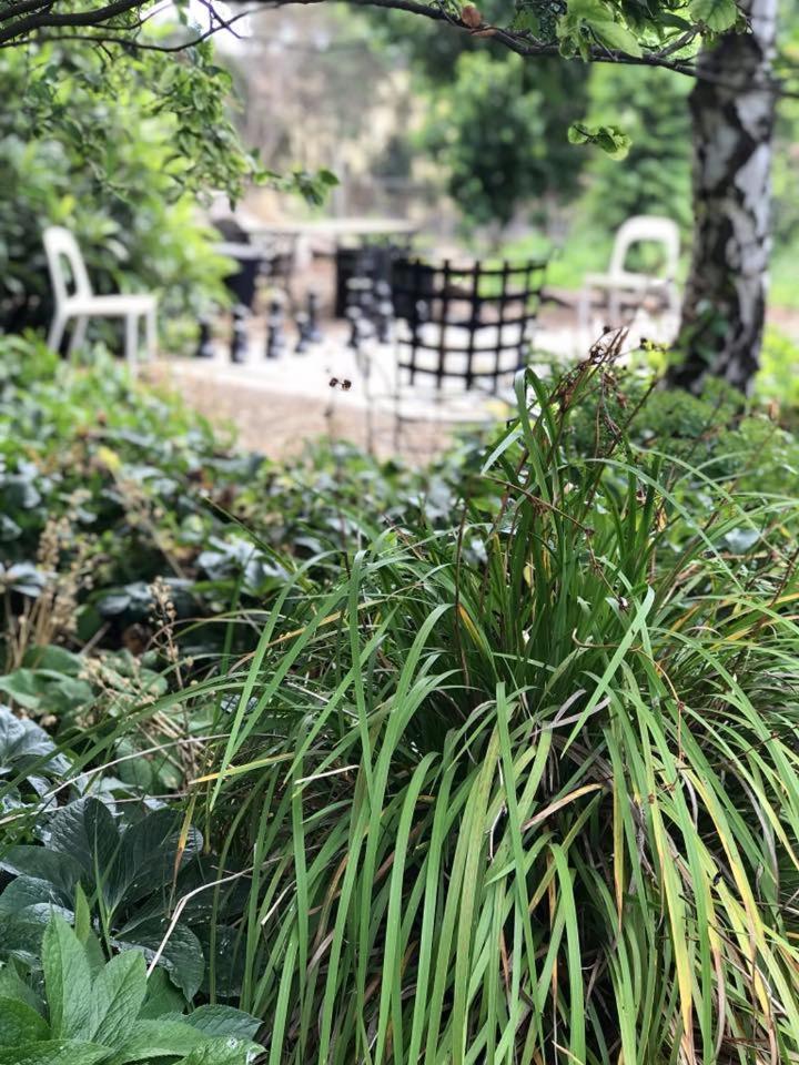 Robin Hoods Well Farm Stay Sassafras Kültér fotó