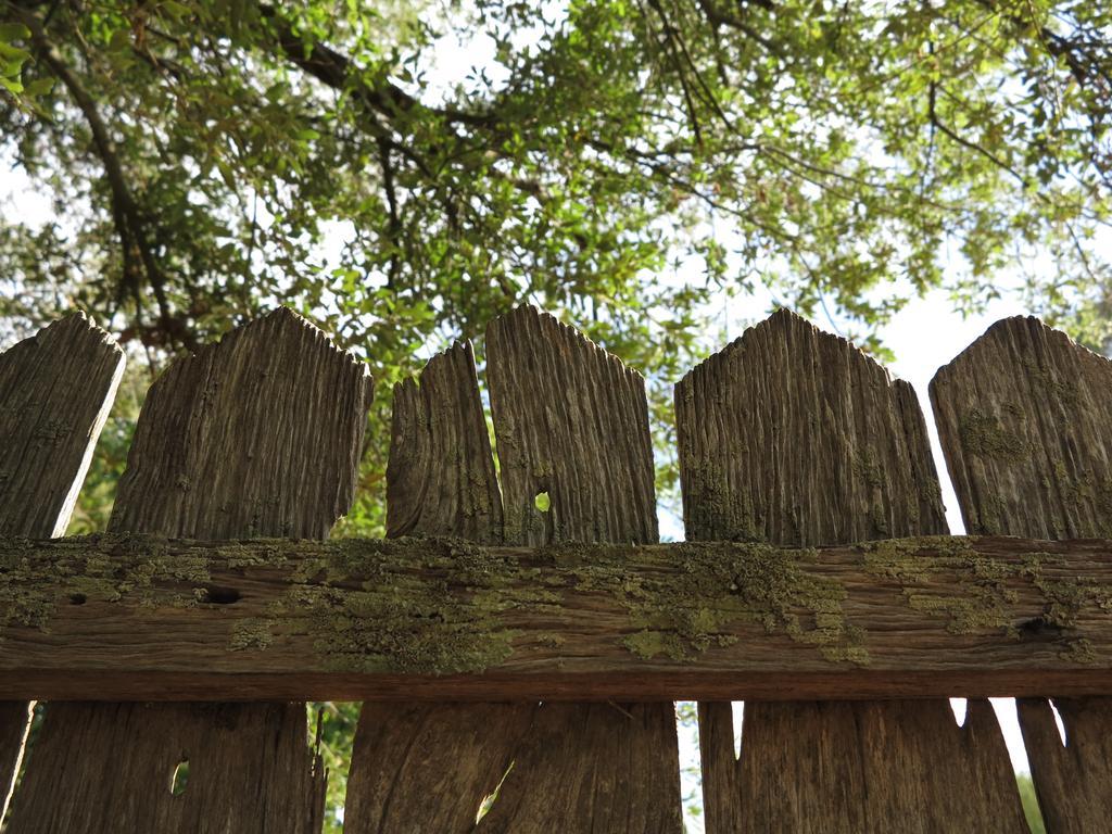 Robin Hoods Well Farm Stay Sassafras Kültér fotó